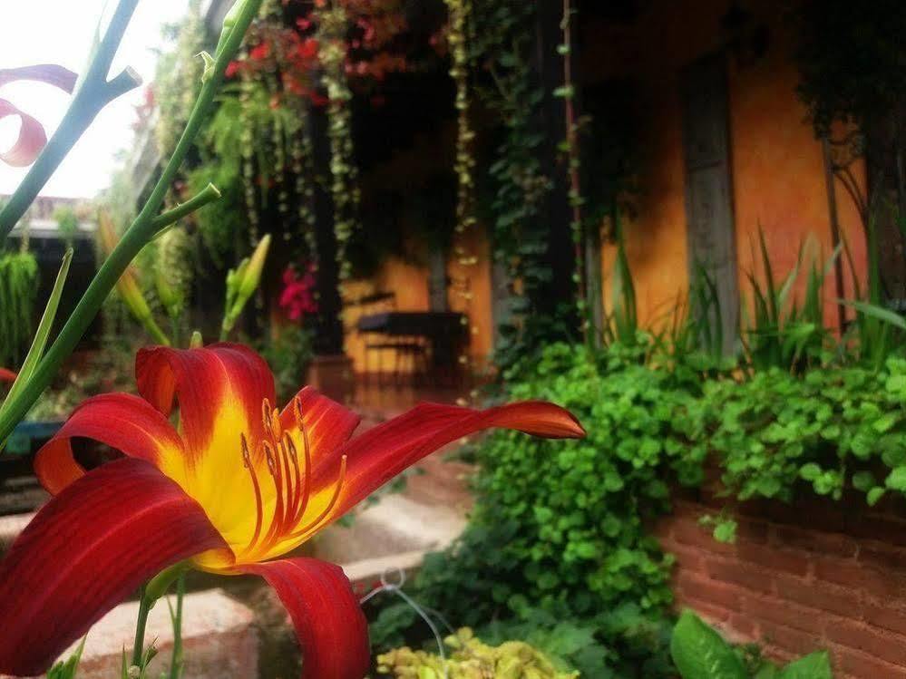 Hotel Eterna Primavera Antigua Exterior photo
